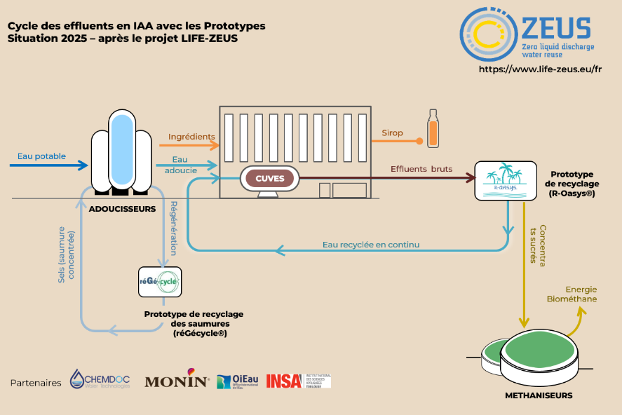 Schema Cycle Effluents